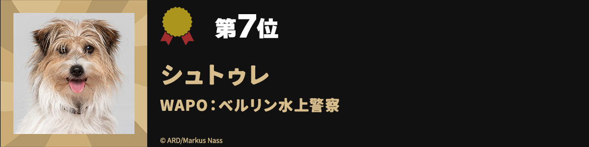 第7位シュトゥレ WAPO：ベルリン水上警察