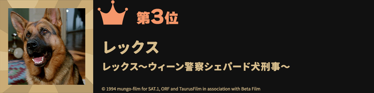 第3位レックス レックス～ウィーン警察シェパード犬刑事～