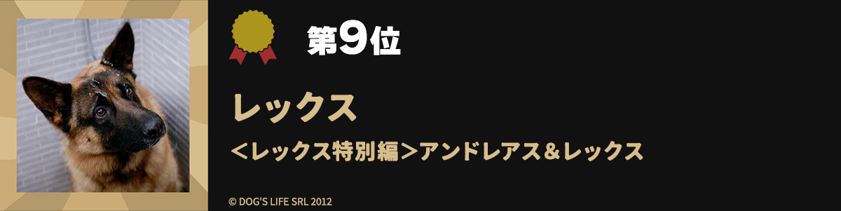 第9位レックス ＜レックス特別編＞アンドレアス＆レックス