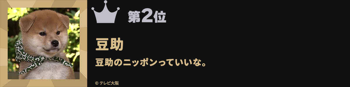 第2位豆助 豆助のニッポンっていいな。