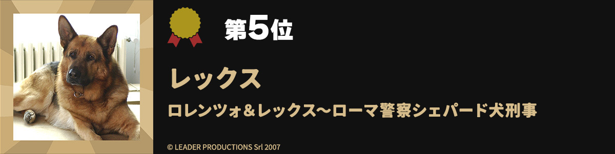第5位レックス ロレンツォ＆レックス～ローマ警察シェパード犬刑事