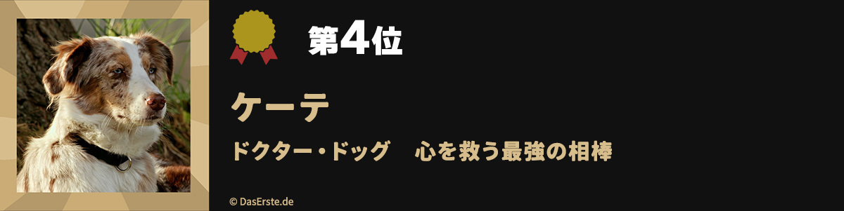 第4位ケーテ ドクター・ドッグ　心を救う最強の相棒