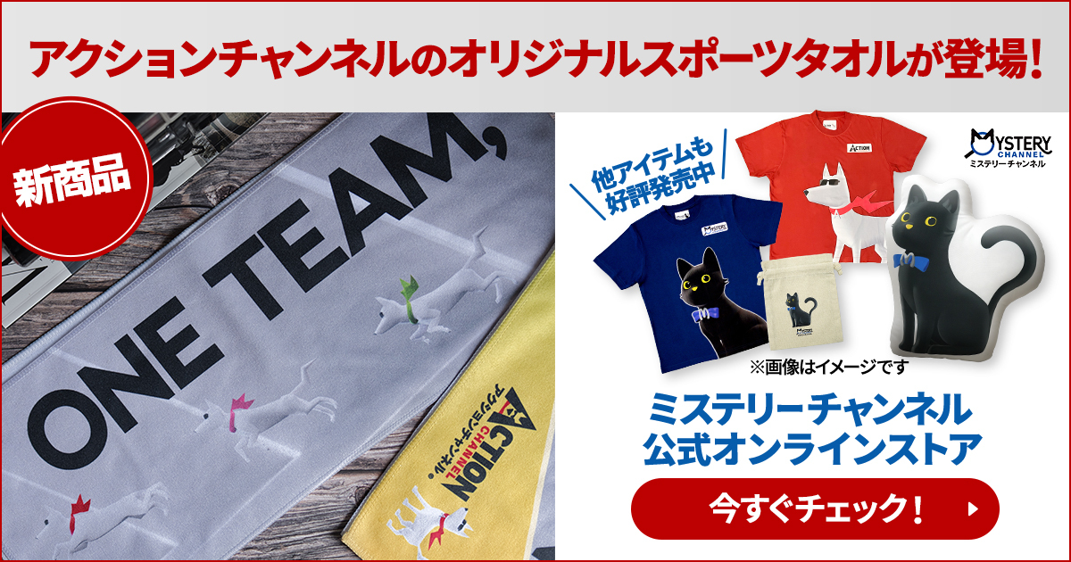 ピックアップ情報｜アクションチャンネル ～日本唯一のアクション海外