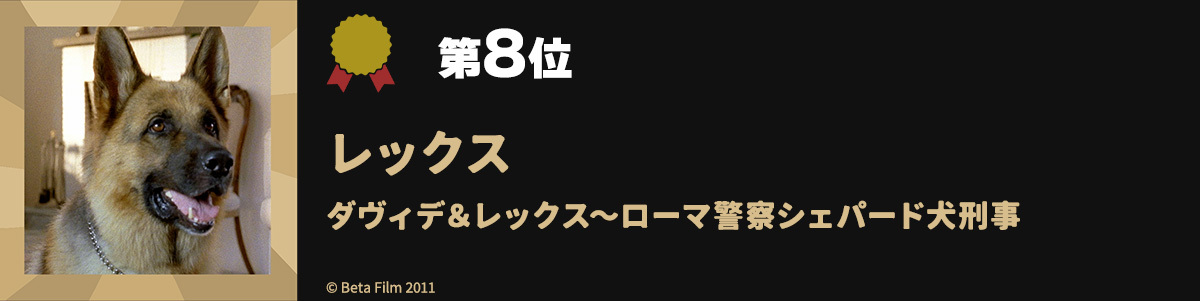 第8位レックス ダヴィデ＆レックス～ローマ警察シェパード犬刑事