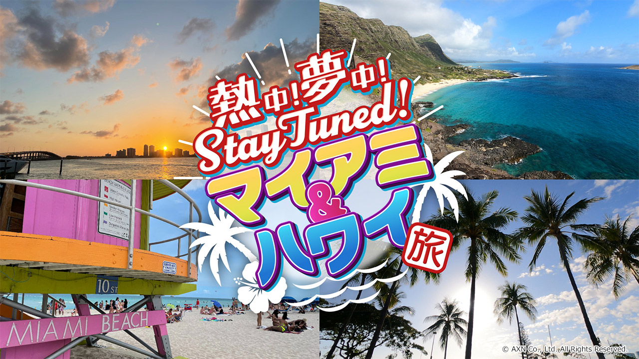 熱中 夢中 Stay Tuned マイアミ ハワイ旅 ａｘｎ 海外ドラマ 大人気の最新海外ドラマを24時間オンエア