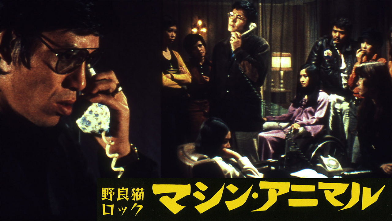 野良猫ロック　マシン・アニマル