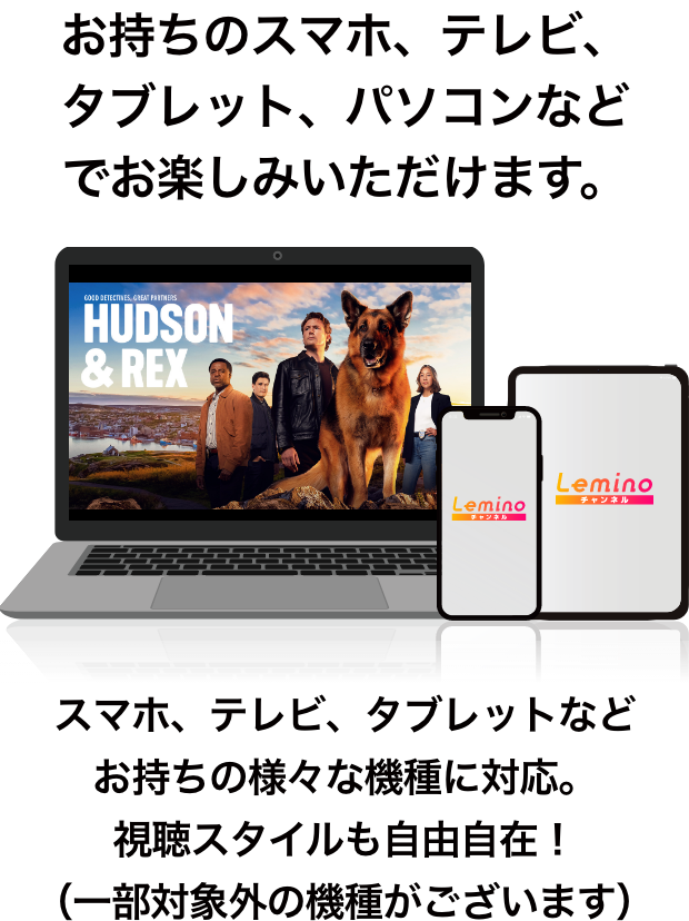 お持ちのスマホ、テレビ、タブレット、パソコンなどでお楽しみいただけます。　スマホ、テレビ、タブレットなどお持ちの様々な機種に対応。視聴スタイルも自由自在！（一部対象外の機種がございます）