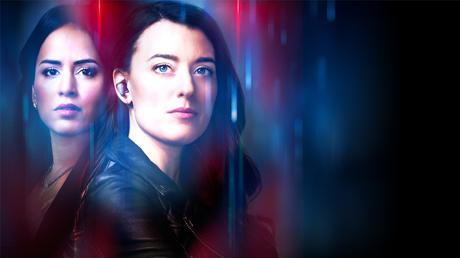 リモート・バディ～3000マイルの遠隔捜査（シーズン2)