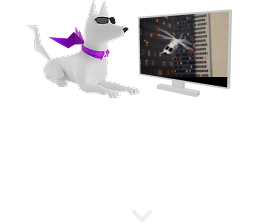 おすすめ作品