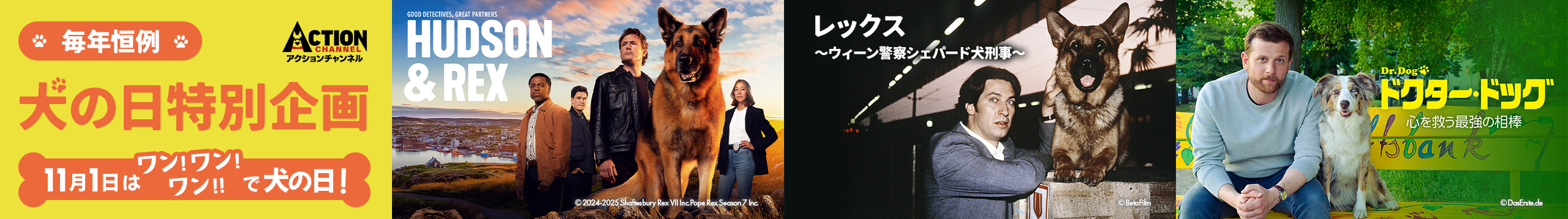 毎年恒例！犬の日特別企画