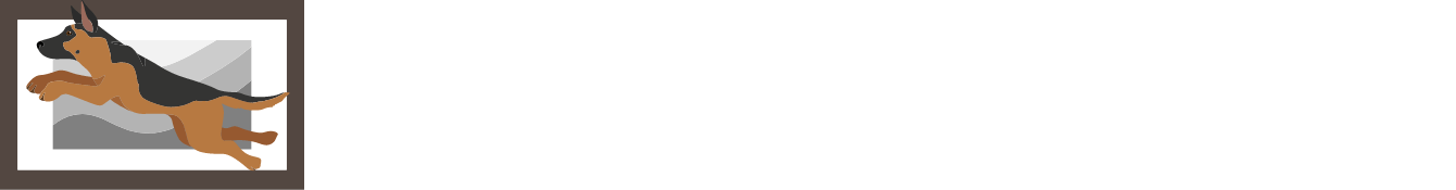 レックスのアルバム