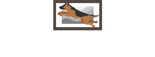 レックスのアルバム