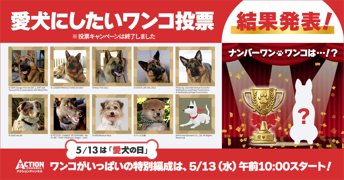 愛犬にしたいワンコ投票キャンペーン