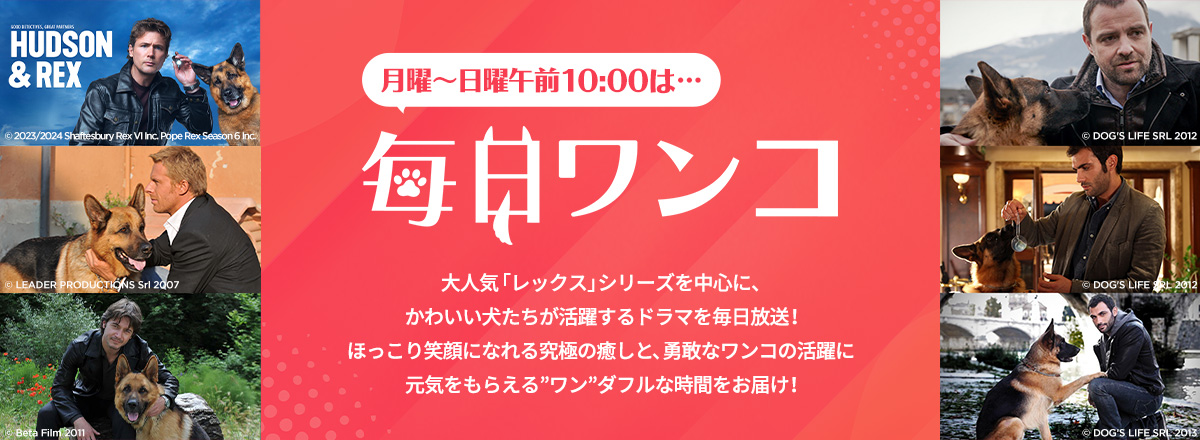 月曜～日曜午前10:00は…【毎日ワンコ】