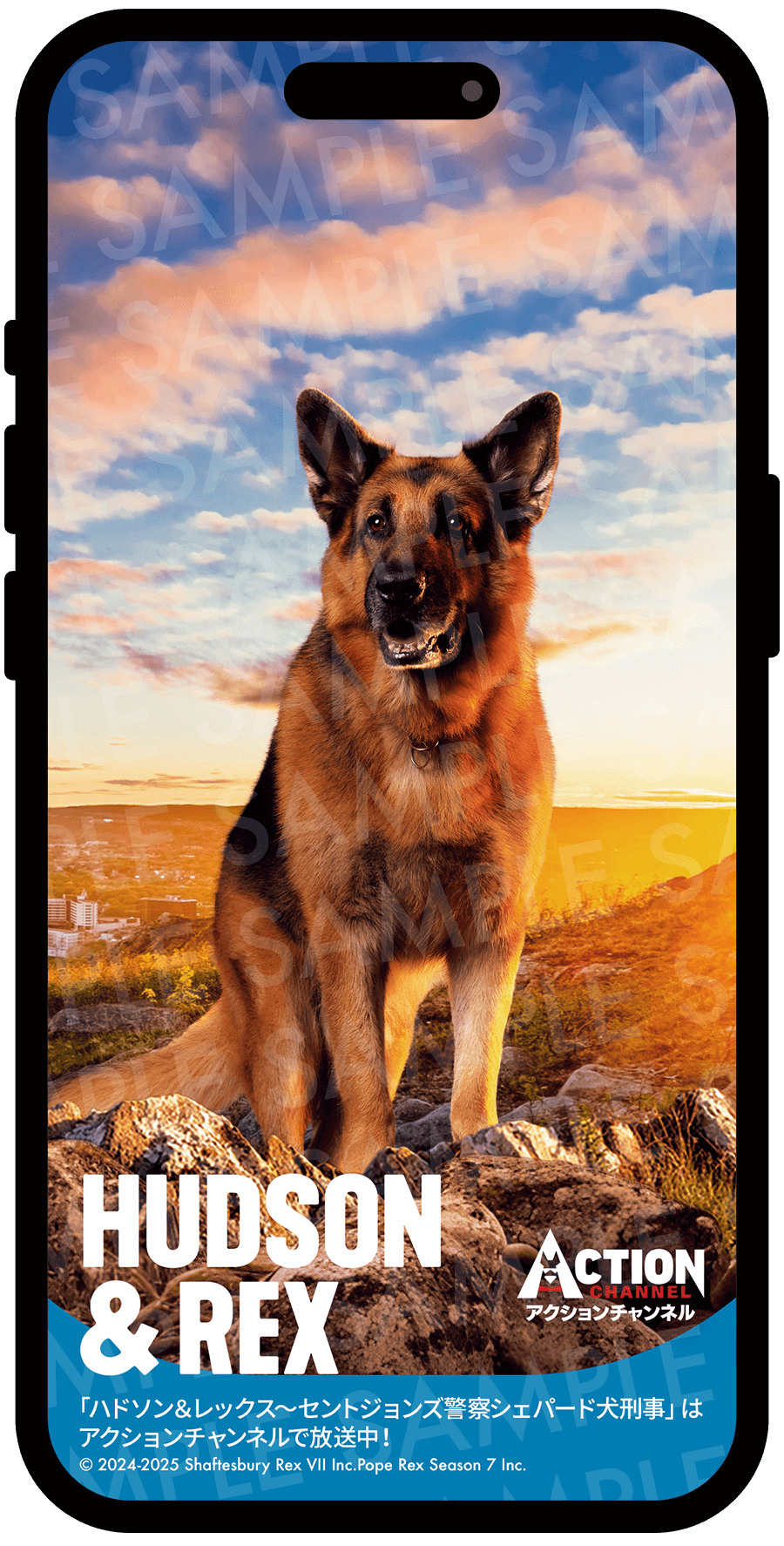 レックスオリジナル壁紙