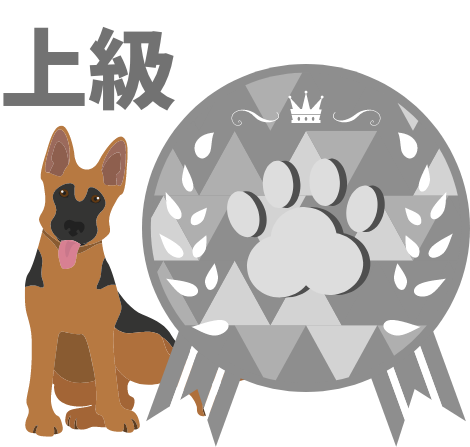 上級